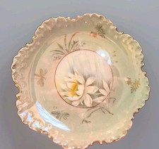 Antique R.C. Rosenthal Monbijou Bavaria Display Plate Water Lily Dragonfly Lustr picture