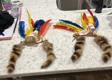 (2) Vintage 1950's Childs Cherokee Indian Feathered Head Dress-w-Raccoon Tails picture