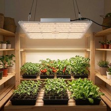 150W/200W/300W/400W/600W LED Grow Light Full Spectrum Dimmable Indoor Plant VEG picture