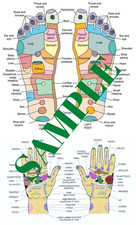HAND & FOOT REFLEXOLOGY CHART POSTER - LAMINATED   9