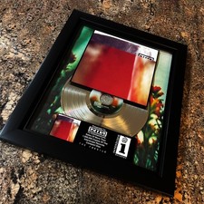 Nine Inch Nails ( The Fragile ) Platinum Music Award Vinyl LP Record CD picture
