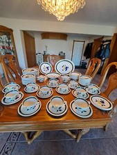 Blue Ridge Southern Pottery Ridge Harvest Pattern 79 Piece Dinnerware Grouping picture