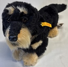 VTG Steiff Raudi Rauhhaardackel 35 Stiff Mohair Plush Dog w/ Tags 2005 picture