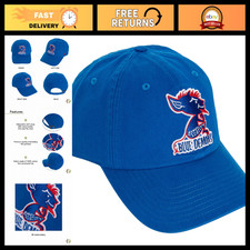 Vintage Blue Embroidered Baseball Cap - DePaul University Cactus Design Hat picture