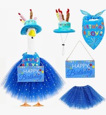 Porch Goose Outfit-Birthday Boy picture