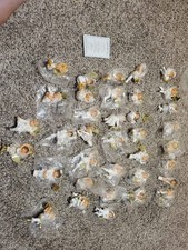 Ashton-Drake Snow Angels G.G. Santiago Christmas Ornaments Lot of 36 picture
