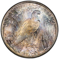 1924-P PCGS MS64 Peace Dollar | Exceptional Iridescent Rainbow Toning | Lustrous picture