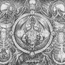 The Dream Membrane picture
