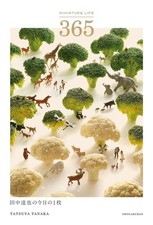 MINIATURE LIFE 365 Miniature Art Photo Book Daily Japan from Inspiring 52 picture
