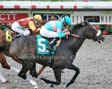 Zenyatta 2010 Clement Hirsch Finish Photo 8