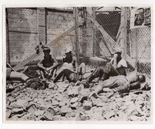 1945 Bad Boys Sleep on Rocks German POWs at War Enclosure No. 334 News Photo picture