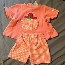 Vintage 90s Barney Dinosaur 2 Pc Outfit Set 4T Pink Gingham Embroidered USA picture