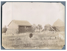 Bonneval, à la ferme Vintage Citrate Print. Eure et Loir 9x Citrate Print picture