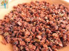 100g Dried Spanish Cherry Flower/Bullet Wood/Mimusops elengi/No pesticide picture