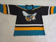 Vintage Rio Grande Valley Killer Bees Hockey Jersey Black Teal RGV No Tags picture