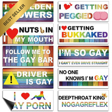 Frienda LGBT Rainbow Bumper Decals Magnetic Funny Prank Car Sticker Set 10 Pcs picture
