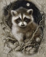 Young Raccoon Nestled in a Moonlit Tree Hollow Print - 934115708 picture