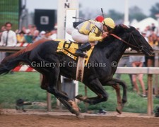 Sunday Silence 1989 Preakness Stakes #2 Photo 8