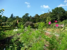 Photo 6x4 Mid Devon : Knightshayes Court, Allotment & Flowers Chettiscomb c2009 picture