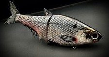 PREMIUM HINKLE SHAD CLONE GIZZARD SHAD SWIMBAIT CUSTOM PAINTED #1 ON EBAY 📈🔥 picture