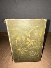 1891 In Ole Virginia by Thomas Nelson Page Cameo Edition Hardcover Illustrated picture