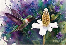 Original Hand Painted Hummingbird White Flower Colorful Bird Painting picture