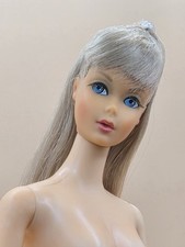 RARE VINTAGE TNT BARBIE DOLL #1160/SILVER GREY/Great Condition picture