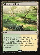 MTG Windswept Heath  - Khans of Tarkir #248 picture