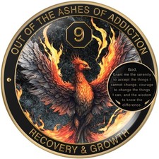 Phoenix Sobriety Coin 9 Year AA Chip Medallion Gift Set Sobriety Gifts for Anniv picture