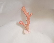 NATURAL ITALIAN PINK CORAL BRANCH - 3 x 1.19