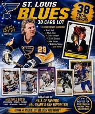 St Louis Blues 38 Card Lot Brett Hull Oates Joseph Stevens NHL Hockey 1990s picture