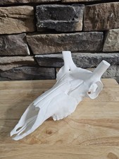 Pronghorn Antelope Skull Euro – Slide-On Horn Fit – Glue In Place – NO HORNS picture