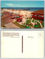 Clearwater Beach FL 1950s Rockaway Beach Palm Pavilion Mini Golf Postcard picture