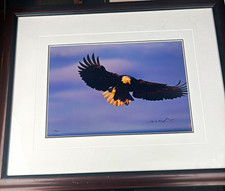 Original Thomas D. Mangelsen Signed & #256/1200 ‘Airborn’ Matted & Framed, 2002 picture
