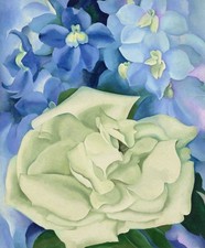 Georgia O'Keeffe White Rose with Larkspur No. I 1927 American Modernism picture