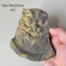 A31 Ancient Chinese eaves tile with pattern of song Dynasty  宋代兽面瓦当 picture