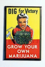 Vintage Grow your own MARIJUANA 2