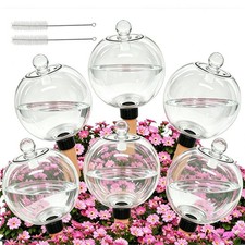 6 Pack 26oz Extra Large Self Watering Globes with 2 Brushes picture