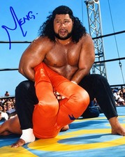WCW MENG HAND SIGNED HAKU STING GREAT AMERICAN BASH 1995 WWF WWE WRESTLING 8X10 picture