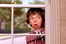 Bewitched TV Mrs. Gladys Kravitz (Nosy Neighbor Window) POSTER 24 X 18 Inches picture