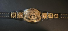 WWE OFFICIAL Figures Inc Undisputed Version 1 Belt  2002  w/ Rock Nameplate  picture
