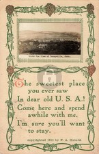 Birdseye View Terryville Connecticut CT Plymouth c1910 RPPC Photo Postcard COPY picture