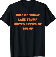 Funny T-Shirt1 picture
