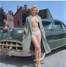 MARYLIN MONROE RAT FINK HOT ROD BIKER MOTORCYCLES TOOLS GUNS STICKERno 4in. picture