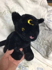 KILLSTAR Binx Black Luna picture