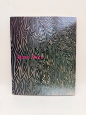 James Siena, 1991-2001, Robert Hobbs, Artist Monograph 2001 picture