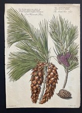 Jan VAN HUYSUM  (1682-1749)  FINE  group of 7  hand color engravings 1730 picture