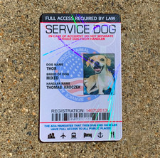 Service Dog ID Card Customized Holographic  picture