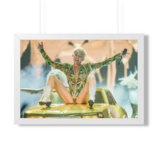 Miley Cyrus 'Dank' Framed Posters/Pictures - Concerts, Live Shows, Music Merch picture