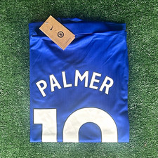 Chelsea Palmer #10 Men's Soccer Jersey Shirt  Blue/Yellow picture